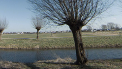 Ziendijk, 1911 MX Uitgeest - Perceel HA 1940 gezien va Tolpad.png